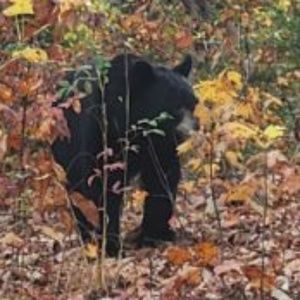 Meet your Posher, Robyn